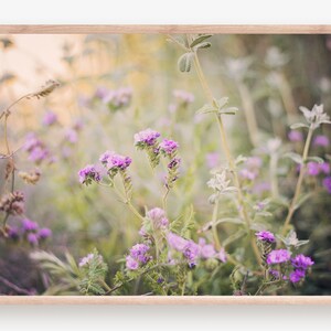California Wild Flowers, Wall Art, Wall Decor, Nature Photography, Flower Photo, Flower Decor, Nature Decor, Flower Art, Flower Print