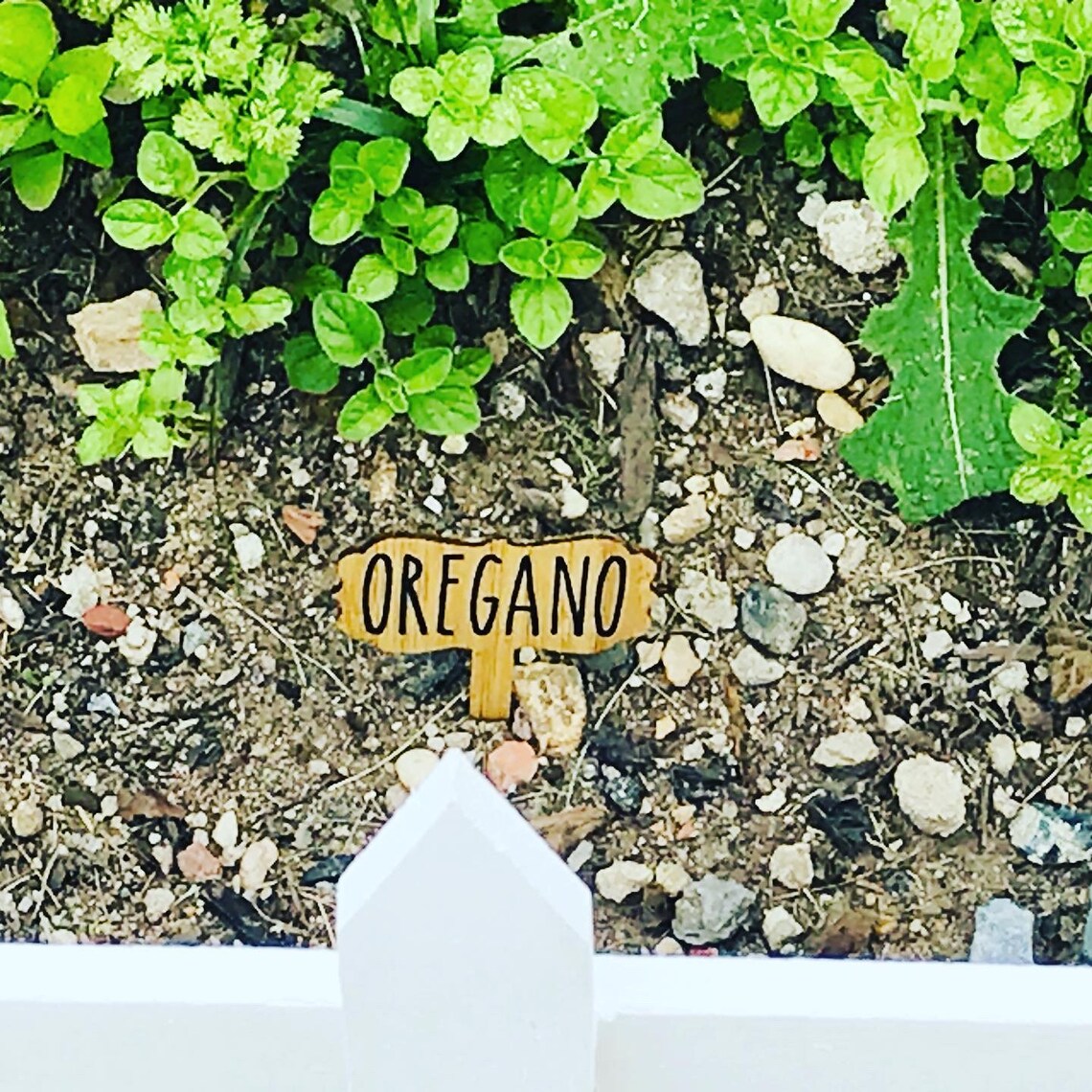 Vegetable Garden labels Greenhouse labels Veggie labels Etsy