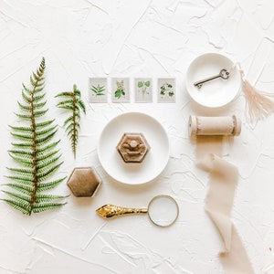 Botanisches Flat Lay Styling Kit für Fotografen, Ringbox aus Samt, Lupe gold, Vintage Briefmarken, Seidenband, Schmuckschale