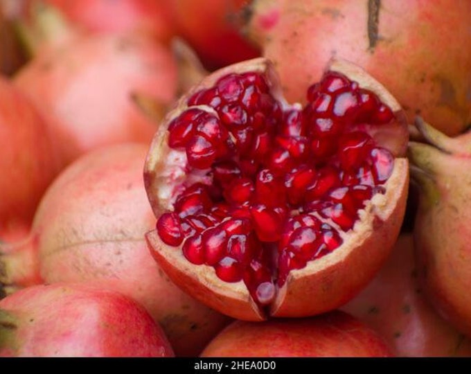 Pomegranate - 3 to 4 Feet Tall -  get fruit soon - Ship in 3Gal Pot