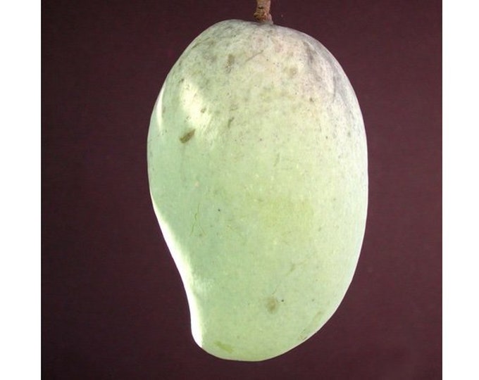 PIM SAEN MUN  Mango Tree - grafted tree   - 1 feet tall -grafted - ship in 6" Pot
