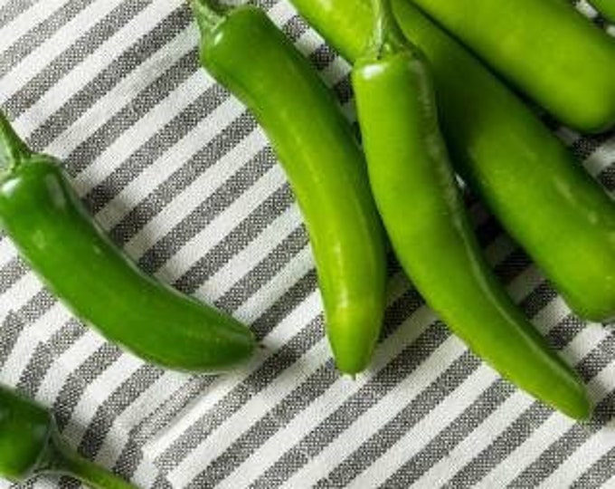 Serrano Pepper 1 Live Plant 3” pot