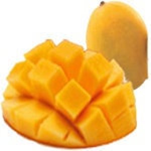 Kesar mango tree  - grafted - 1 to 2  feet tall