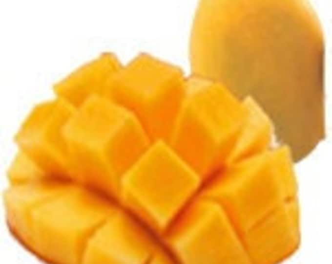 Kesar mango tree  - grafted - 1 feet tall -grafted - ship in 6" Pot