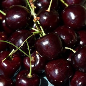 May include: A close-up of a bowl full of dark red cherries. The cherries are shiny and plump, with stems and leaves visible.