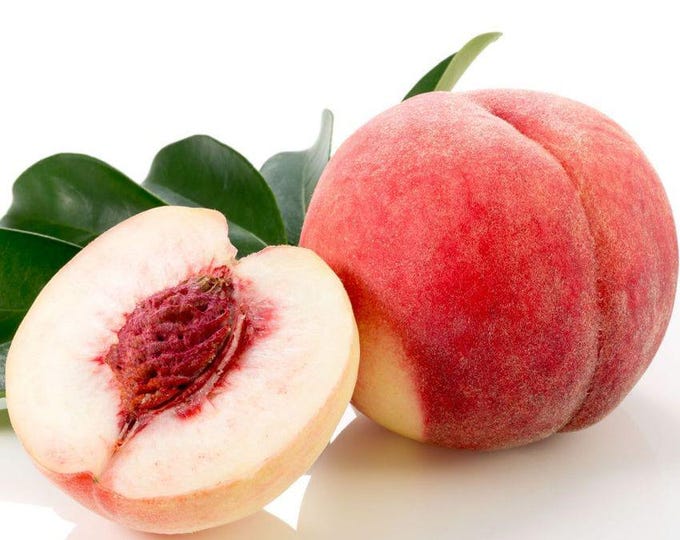 Babcock White Peach - 3-4 ft ship in 3 gal pot