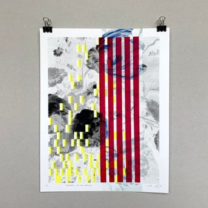 Halftone Jan Van Kessel Limited Edition Handmade Silkscreen Print (11x14 inches)