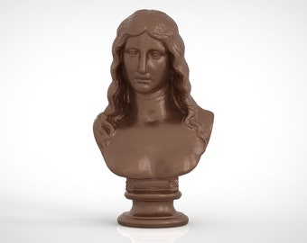 Bust Of A Barbarian Woman, Roman Bust, Woman Bust Statue, Bust Woman, Bust Of A Woman, Art Bust, Famous Roman Busts, Bust Decor