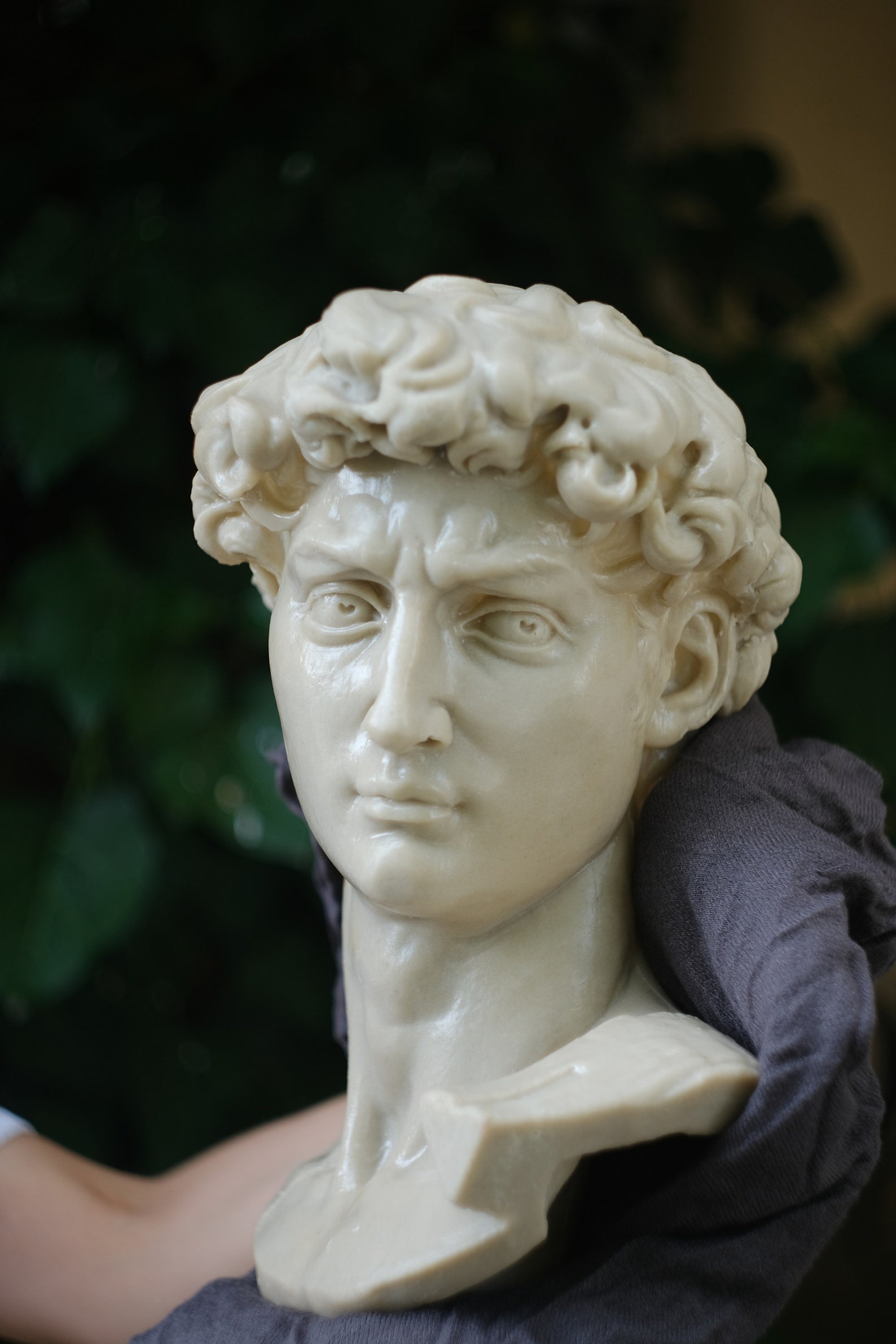Head of Michelangelo's David David Michelangelo David Etsy