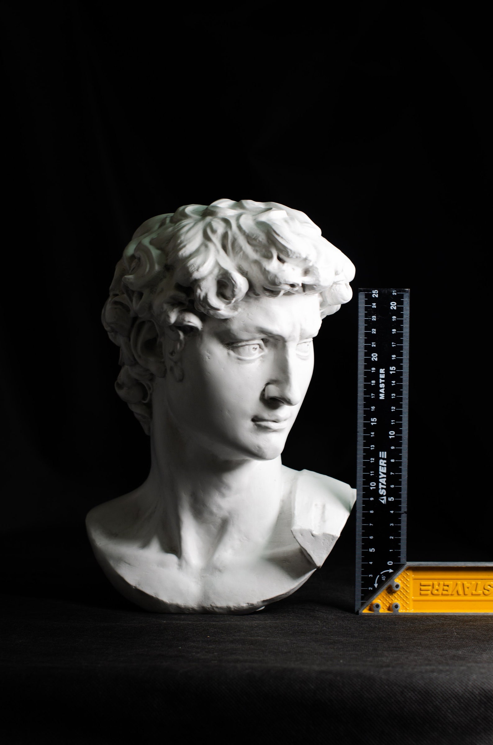 Head of Michelangelo's David David Michelangelo David Etsy