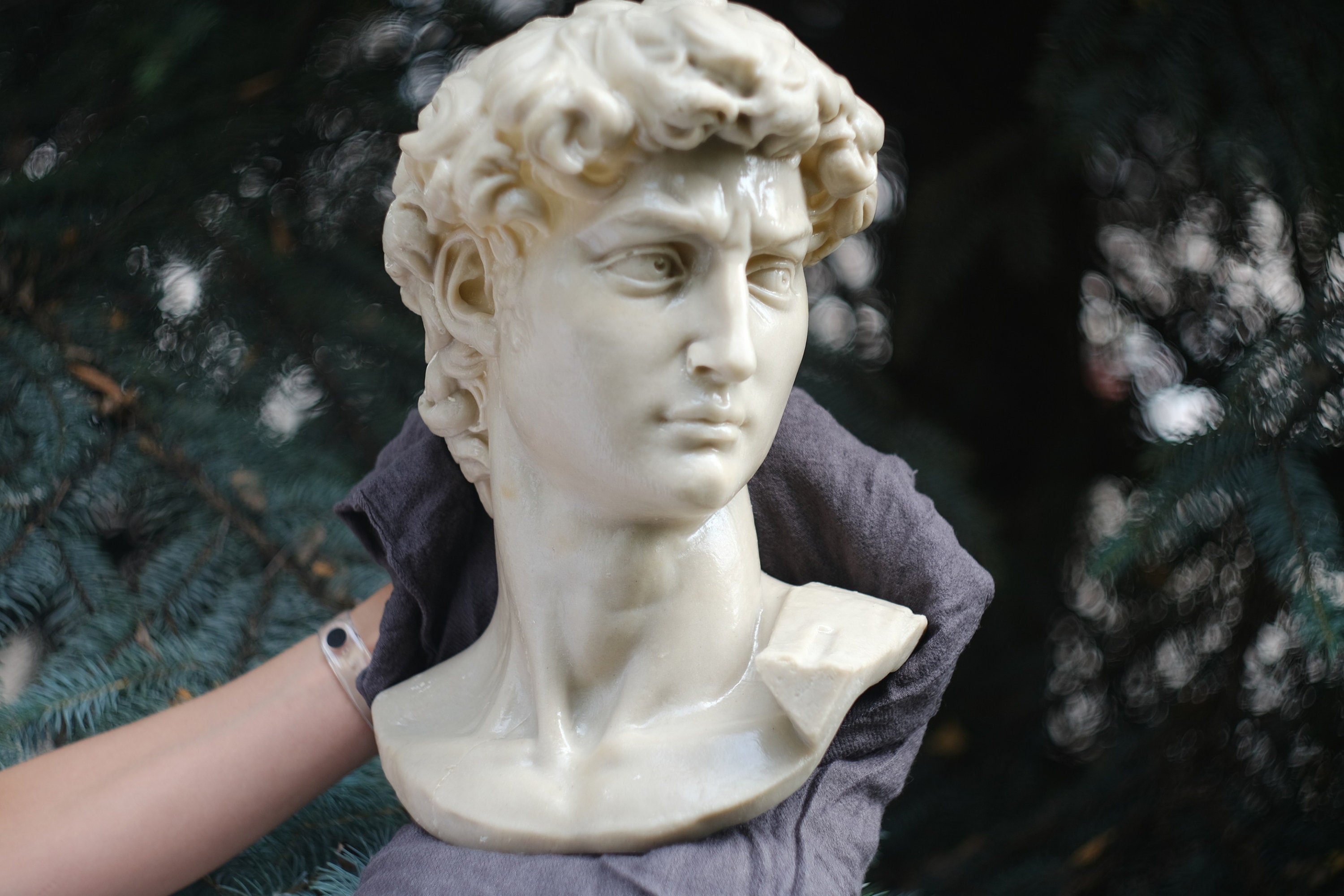 Head Of Michelangelo S David David Michelangelo David Etsy