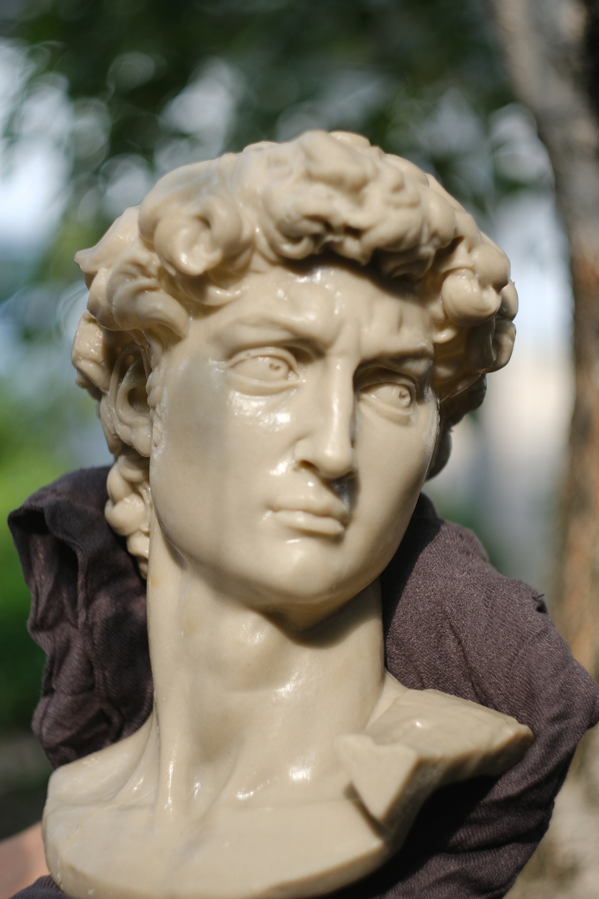 Head of Michelangelo's David David Michelangelo David Etsy Denmark