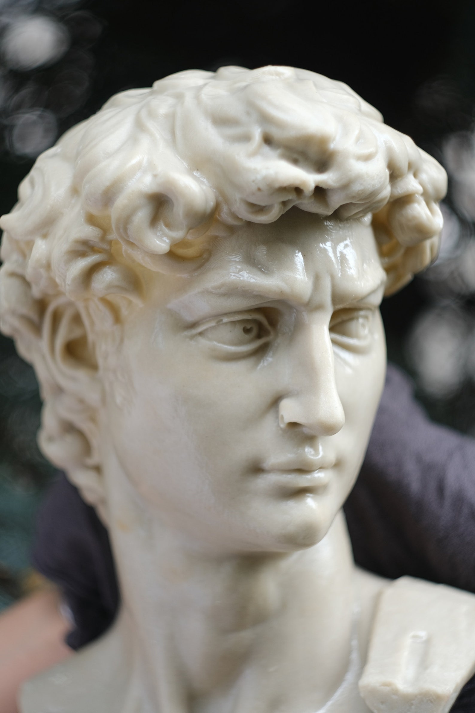 Head of Michelangelo's David David Michelangelo David Etsy