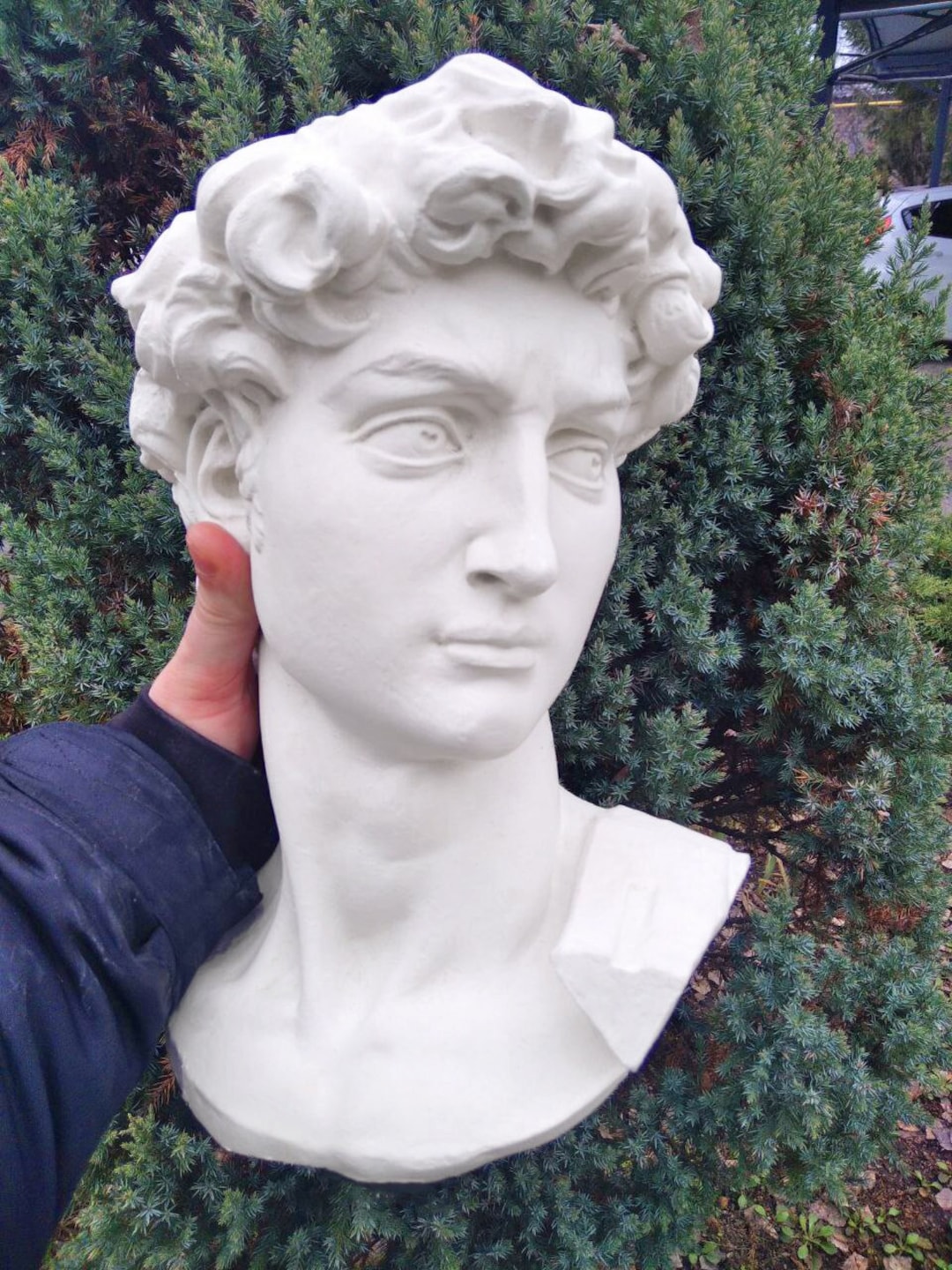 Plaster Head of Michelangelo's David Plaster David Etsy