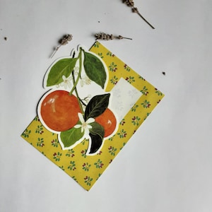 provence - carte postale découpée, branche d’oranger, fruits,orange