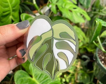 Sticker | Variegated Monstera Leaf