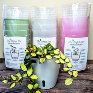 May include: Three sets of clear plastic pots for semi-hydroponics. The pots are stacked and packaged in plastic. The pots are green, white, and pink. The text on the packaging reads "The Perfect Pot for Semi-Hydroponics".