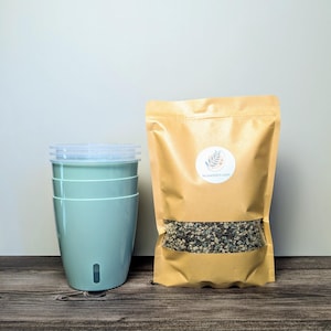 Puede incluir: Tres macetas apiladas, de color verde azulado claro, con tapas transparentes y una bolsa de papel marrón llena de pequeños guijarros grises oscuros y negros. La bolsa tiene una pegatina blanca con un logotipo y el texto "www.addict.com".