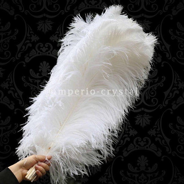 Plume d'autruche élégante plumes d'autruche BLANCHE 55-60 cm & 65-70 cm plumes décoration mariage burlesque