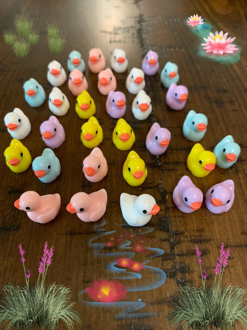 Mini Resin Duck Set Colorful Miniature Duck Figure Sets Etsy