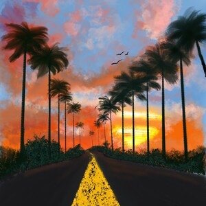 Florida Highway