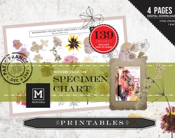 PRINTABLES, Digital Downloads, Spring Blossoms, Specimen Chart, DIY Stickers, Art Journaling, Mixed Media, Collage, Printable Flowers, Flora