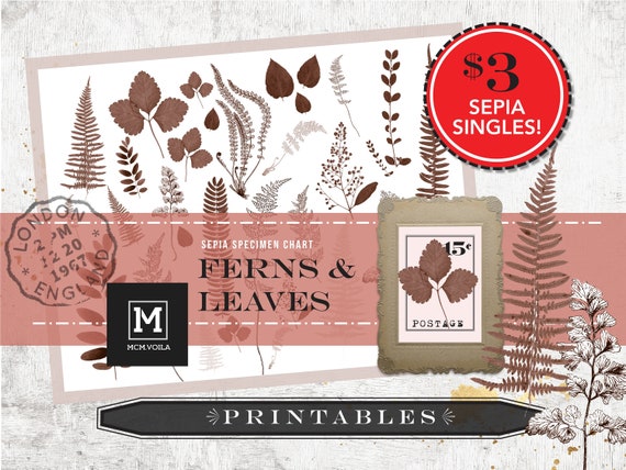 PRINTABLES Digital Downloads Ferns Stickers Fern Printable - Etsy