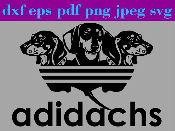 adidas dachshund