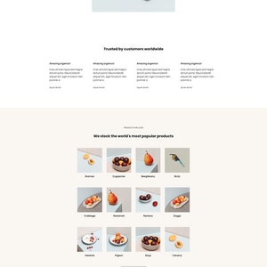 Custom website using google sites, small business website build, salon website, gym website, book website, Photography website Nails website