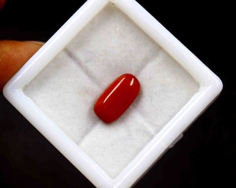 Sang Moonga Stone 2025