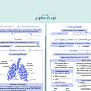 Respiratory Disorders Study Guide | Nursing Student Study Guide ...