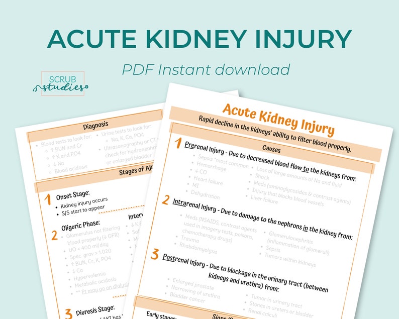Acute Kidney Injury AKI Nursing Study Guide Digital | Etsy