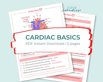 Cardiac Basics | Nursing study guides | Digital Download | Cardiac Terms | Nursing study sheets | Nursing study notes