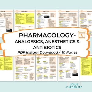 Pharmacology - Analgesics, Anesthetics & Antibiotics | Nursing student study guide | Digital Download