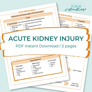 Renal Bundle Kidneys Nephrons RAAS Chronic Kidney Disease AKI Renal Calculi UTI Glomerulonephritis Dialysis Diuretics image 5