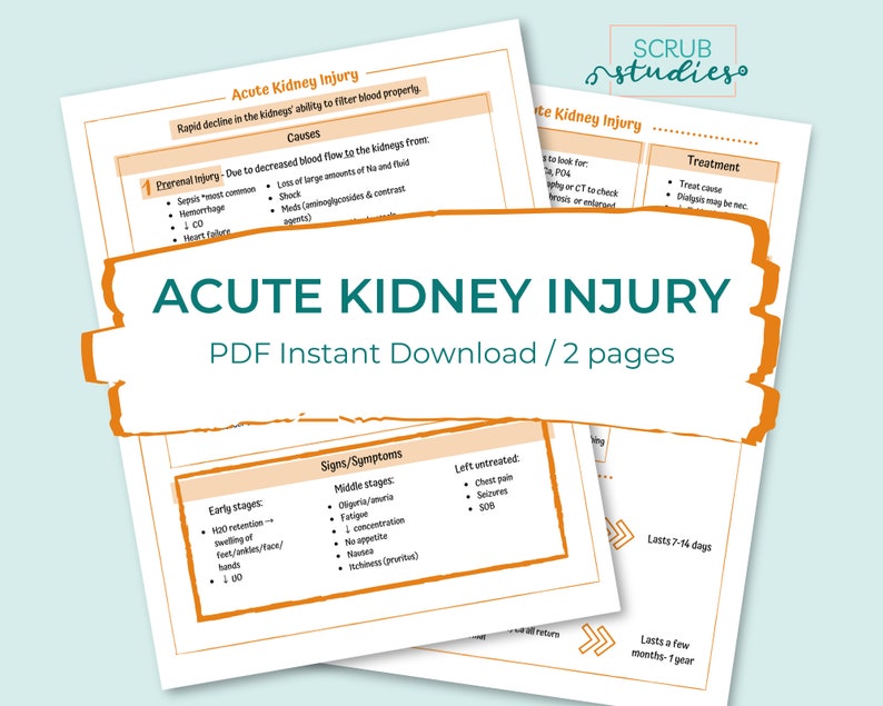 Renal Bundle Kidneys Nephrons RAAS Chronic Kidney Disease AKI Renal Calculi UTI Glomerulonephritis Dialysis Diuretics image 5