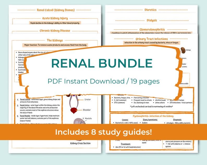 Renal Bundle Kidneys Nephrons RAAS Chronic Kidney Disease AKI Renal Calculi UTI Glomerulonephritis Dialysis Diuretics image 1