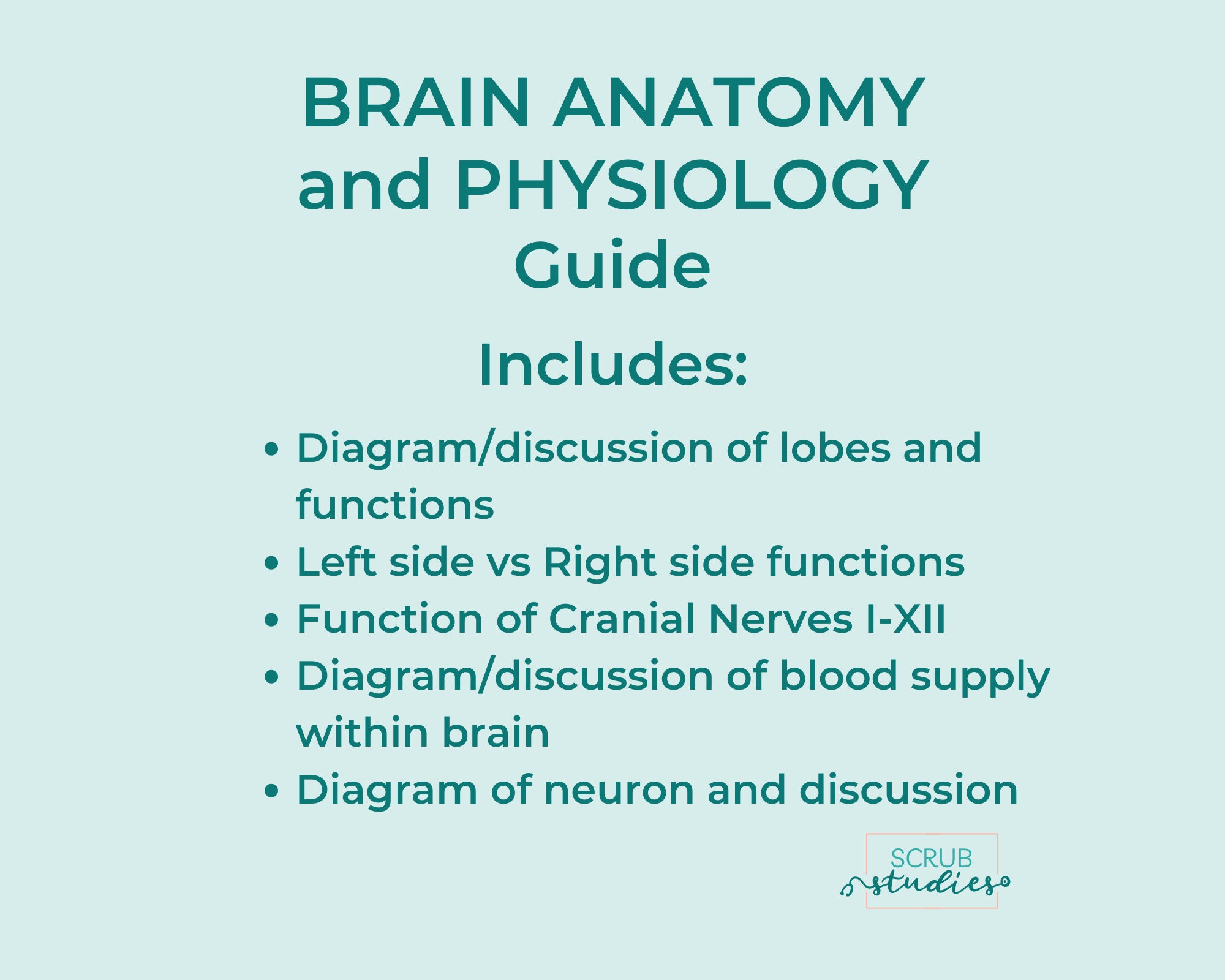 Brain Anatomy and Physiology | Nursing Student Study Guide | Digital ...