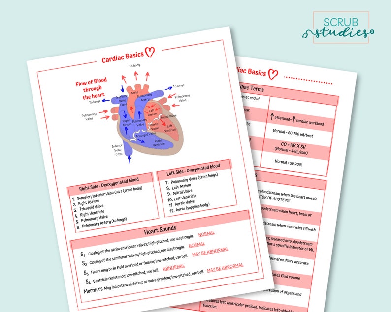Cardiac Basics Nursing Study Guides Digital Download Etsy