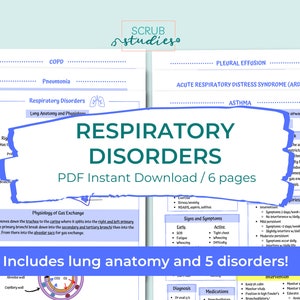 Respiratory Disorders study guide | Nursing student study guide | Digital download | Lung Anatomy study guide