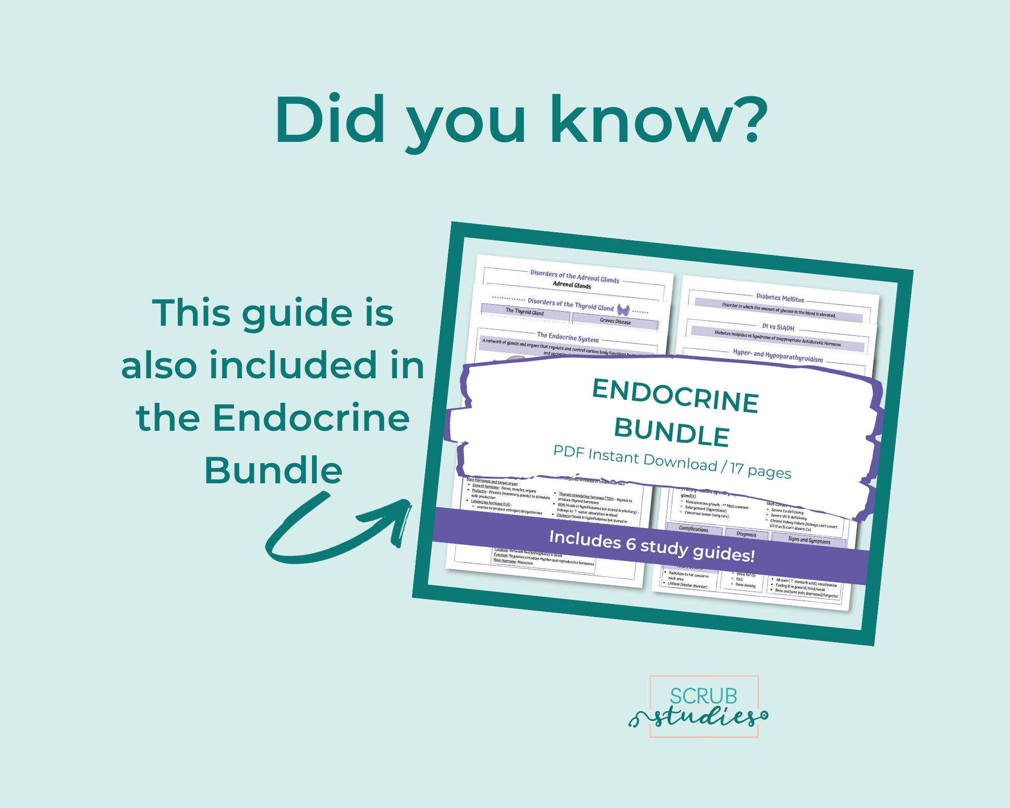 Endocrine System Study Guide | Nursing Study Notes | Digital Download ...