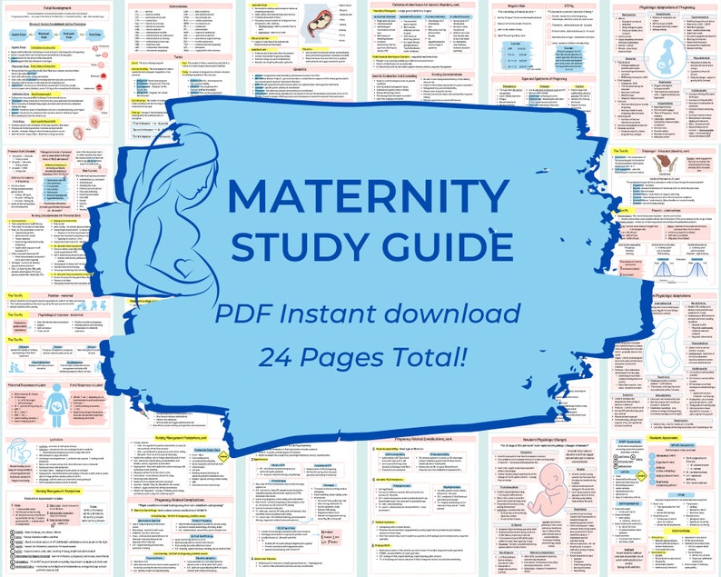 OB & Maternity Study Guide Nursing Student Study Guide Etsy