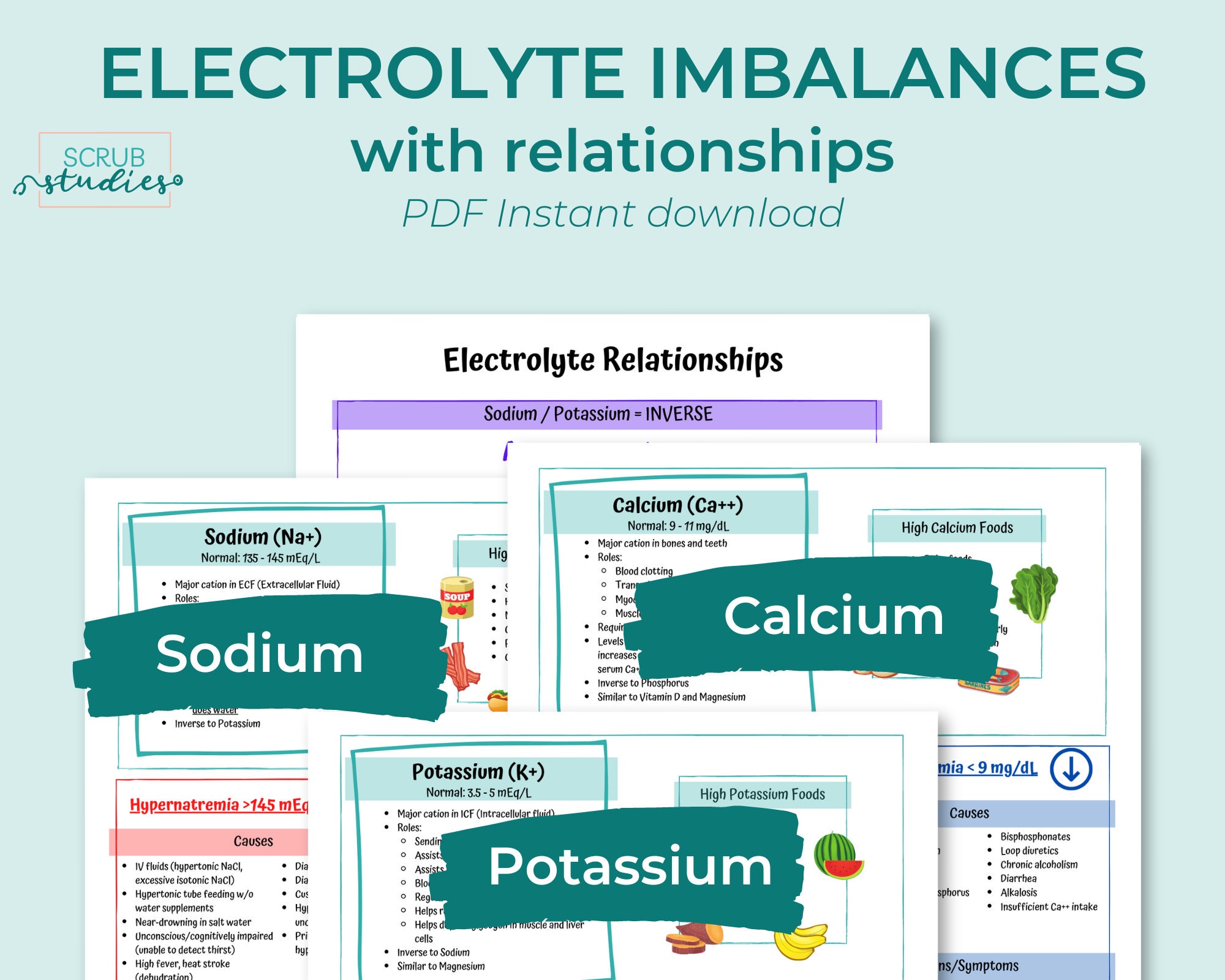 Electrolyte Imbalances Study Guide Nursing Study Guides - Etsy