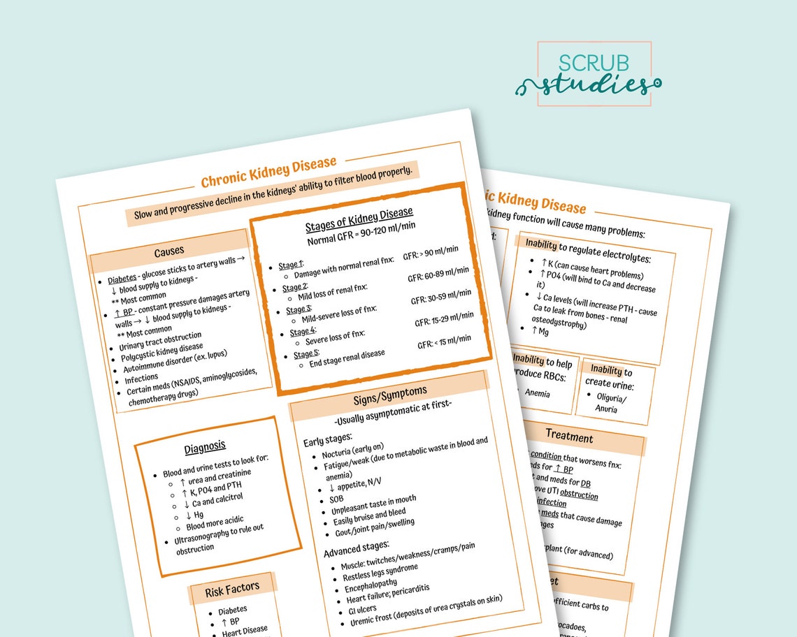 Chronic Kidney Disease | Nursing Student Study Guide | Digital Download ...