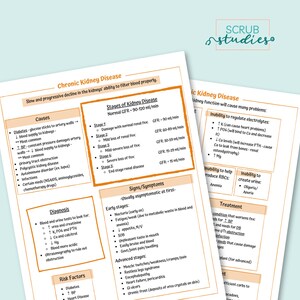Chronic Kidney Disease | Nursing Student Study Guide | Digital Download ...