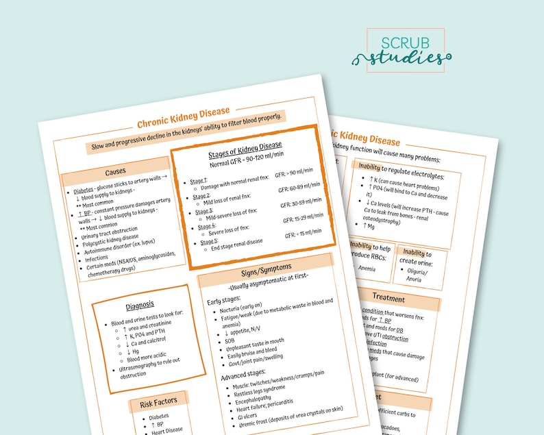Chronic Kidney Disease | Nursing Student Study Guide | Digital Download ...