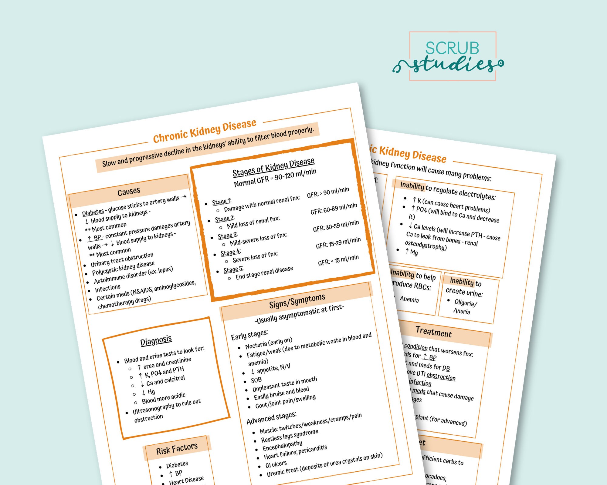 Chronic Kidney Disease | Nursing Student Study Guide | Digital Download ...