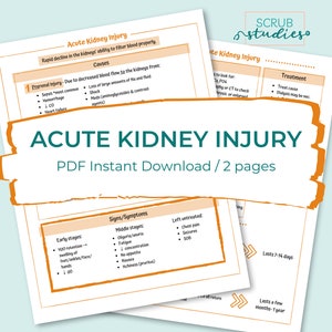 Akute Nierenschädigung | AKI | Pflegeanleitung | Digitaler Download