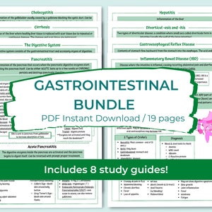 May include: A green and white graphic with the text "Gastrointestinal Bundle" in large, bold, white letters. The text "PDF Instant Download / 19 pages" is below the title. The graphic also includes the text "Includes 8 study guides!" in green letters on a white background.