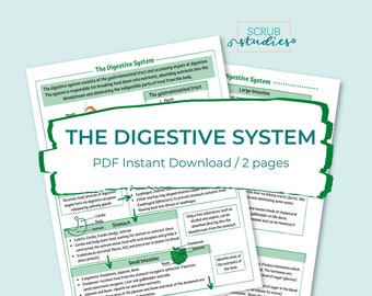 The Digestive System study guide | GI Tract | Gastrointestinal | Nursing study guide | Digital Download | Nursing Study sheet